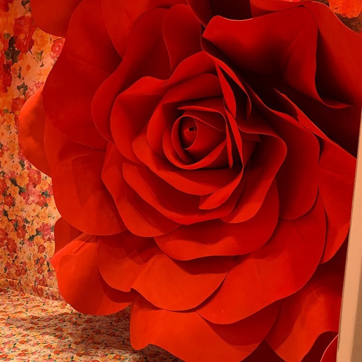 paper rose studio