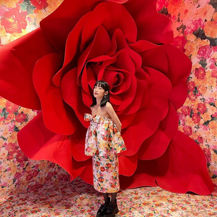 Obří růže na pozadí rekvizity