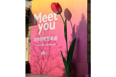 Velké papírové květiny